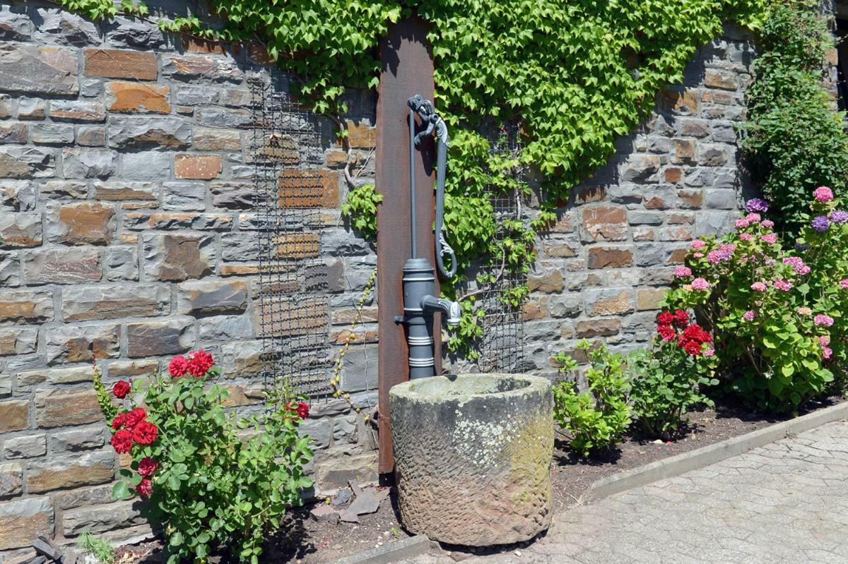 Ferien Weingut Pauly Hotel Mesenich Bagian luar foto